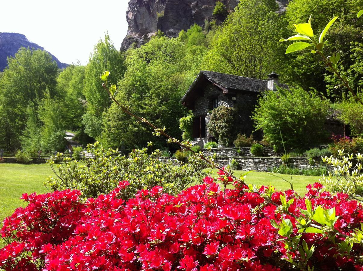 Chalet La Baita Villa Baceno Exterior foto